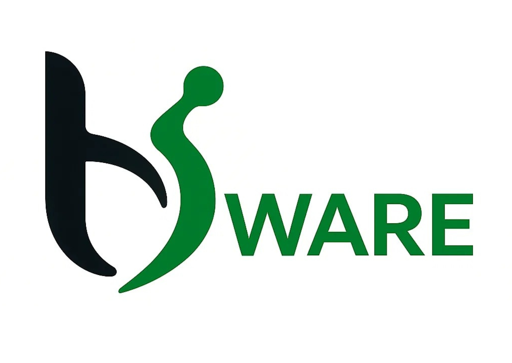 bSWARE Logo